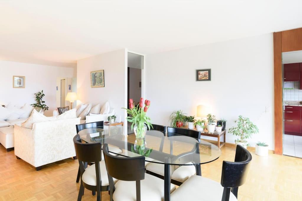 Tourelle 2 - Spacieux Dans Le Centre De * Genf